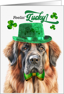 St Patrick’s Day Leonberger Dog Feelin’ Lucky Clovers card