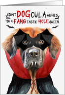 Leonberger Dog Funny Halloween Count DOGcula card