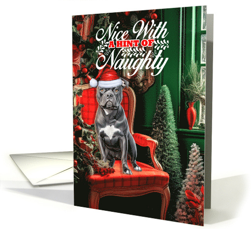 Gray Pit Bull Christmas Dog Nice with a Hint of Naughty card (1808170)
