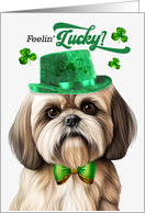 St Patrick’s Day Lhasa Apso Dog Feelin’ Lucky Clovers card