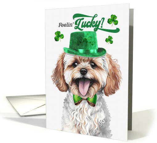 St Patrick's Day Maltipoo Dog Feelin' Lucky Clovers card (1808698)