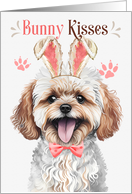 Easter Bunny Kisses Maltipoo Dog in Bunny Ears card