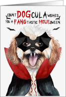 Maltipoo Dog Funny Halloween Count DOGcula card