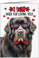 Valentine’s Day Newfoundland Dog I Was Made for Loving You card