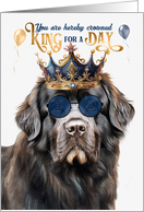 Birthday Newfoundland Dog Funny King for a Day card