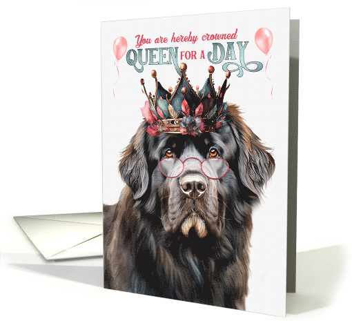 Birthday Newfoundland Dog Funny Queen for a Day card (1808984)