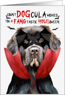 Newfoundland Dog Funny Halloween Count DOGcula card