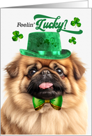 St Patrick’s Day Pekingese Dog Feelin’ Lucky Clovers card