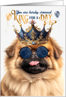 Birthday Pekingese Dog Funny King for a Day card