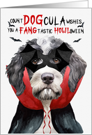 Portuguese Water Dog Funny Halloween Count DOGcula card