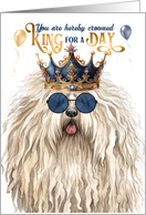 Birthday Puli Dog Funny King for a Day card