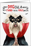 Puli Dog Funny Halloween Count DOGcula card