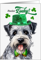 St Patrick’s Day Pumi Dog Feelin’ Lucky Clovers card