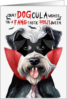 Pumi Dog Funny Halloween Count DOGcula card