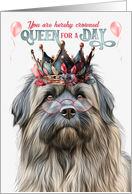 Birthday Pyrenean Shepherd Dog Funny Queen for a Day card