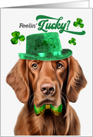 St Patrick’s Day Irish Setter Dog Feelin’ Lucky Clovers card