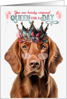 Birthday Irish Setter Dog Funny Queen for a Day card