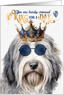 Birthday Bearded Collie Dog Funny King for a Day card