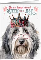 Birthday Bearded Collie Funny Queen for a Day card