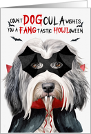 Bearded Collie Dog Funny Halloween Count DOGcula card