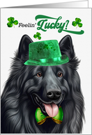 St Patrick’s Day Belgian Sheepdog Feelin’ Lucky Clovers card
