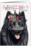 Birthday Belgian Sheepdog Funny Queen for a Day card
