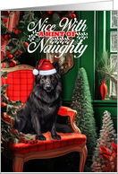 Belgian Sheepdog Christmas Dog Nice with a Hint of Naughty card