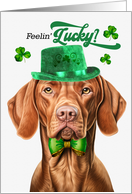 St Patrick’s Day Vizsla Dog Feelin’ Lucky Clovers card