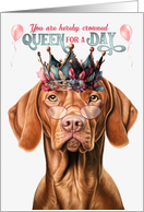 Birthday Vizsla Dog Funny Queen for a Day card