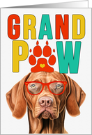 GrandPAW Vizsla Dog...