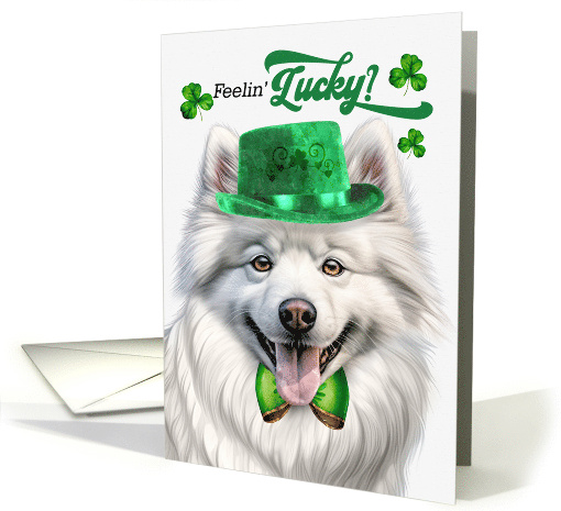 St Patrick's Day American Eskimo Dog Feelin' Lucky Clovers card
