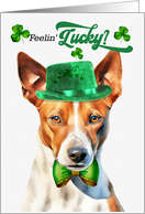 St Patrick’s Day Basenji Dog Feelin’ Lucky Clovers card