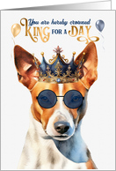 Birthday Basenji Dog Funny King for a Day card