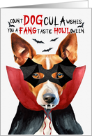 Basenji Dog Funny Halloween Count DOGcula card