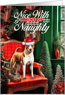 Basenji Christmas Dog Nice with a Hint of Naughty card