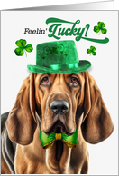 St Patrick’s Day Bloodhound Dog Feelin’ Lucky Clovers card