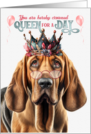 Birthday Bloodhound Dog for a Day Funny Queen card