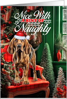 Bloodhound Christmas Dog Nice with a Hint of Naughty card