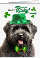 St Patrick’s Day Bouvier des Flandres Dog Feelin’ Lucky Clovers card
