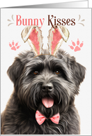 Easter Bunny Kisses Bouvier des Flandres Dog in Bunny Ears card