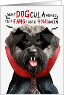 Bouvier des Flandres Dog Funny Halloween Count DOGcula card