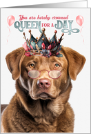 Birthday Chesapeake Bay Retriever Dog Funny Queen for a Day card