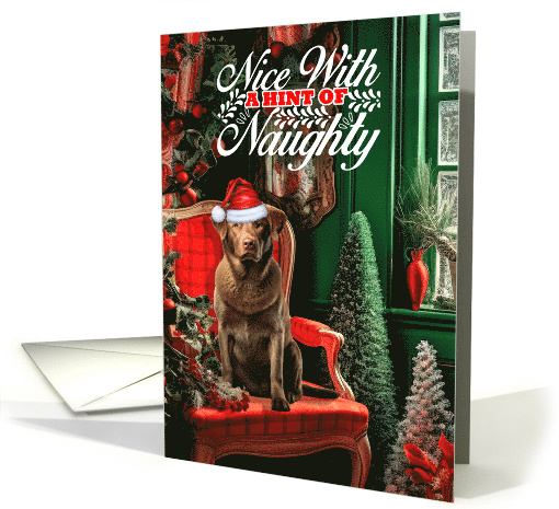 Chesapeake Bay Retriever Christmas Dog Nice with a Hint... (1811436)