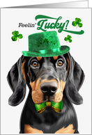 St Patrick’s Day Black and Tan Coonhound Dog Feelin’ Lucky Clovers card