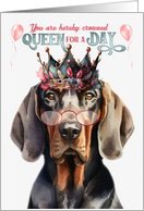 Birthday Black and Tan Coonhound Dog Funny Queen for a Day card