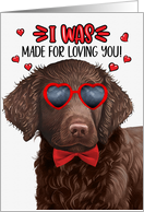 Valentine’s Day Curly Coated Retriever Dog Made for Loving You card