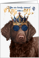 Birthday Curly Coated Retriever Dog Funny King for a Day card
