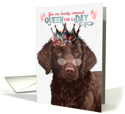 Birthday Curly Coated Retreiver Dog Funny Queen for a Day card