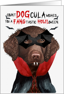 Curly Coated Retriever Dog Funny Halloween Count DOGcula card