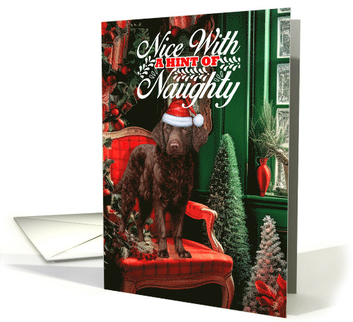 Curly Coated Retriever Christmas Dog Nice with a Hint of Naughty card